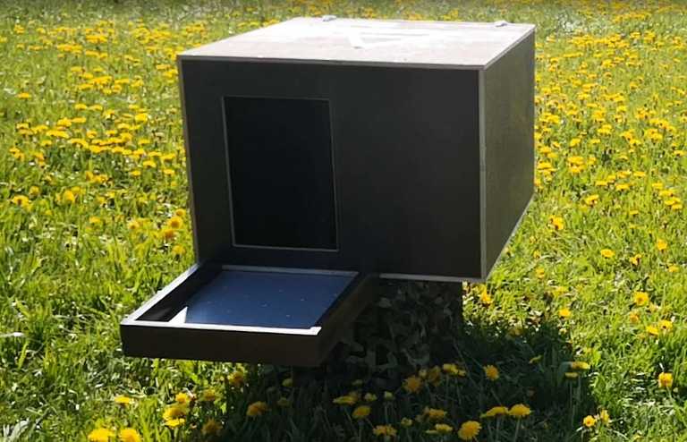 Wanderfalkennest Wanderfalkennest